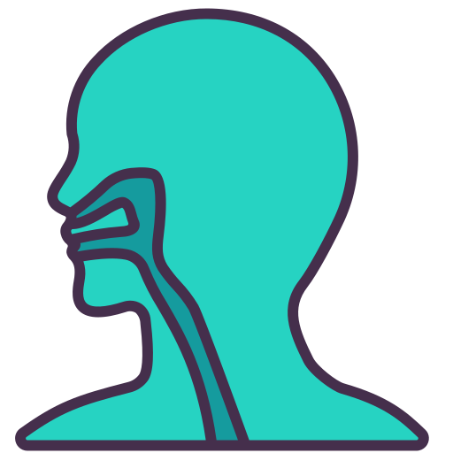 ORL (Oto-rhino-laryngologie)